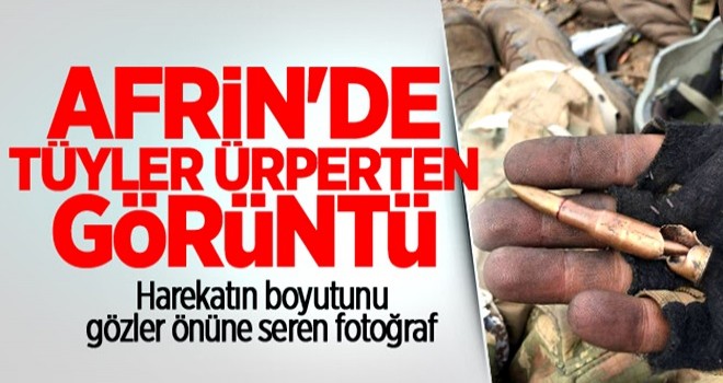 Afrin'den gelen fotoğraf hayrete düşürdü