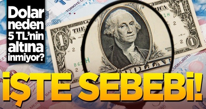 Dolar kuru 5 TL'nin altına neden inmiyor? Sebebi belli