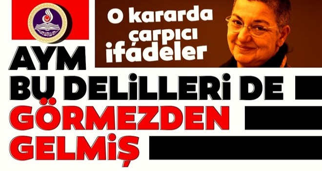 Anayasa Mahkemesi bu delilleri de görmezden gelmiş!