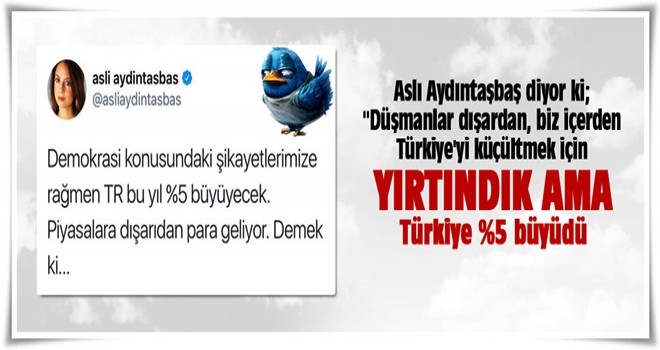 Aslı Aydıntaşbaş'tan beyin yakan tweet