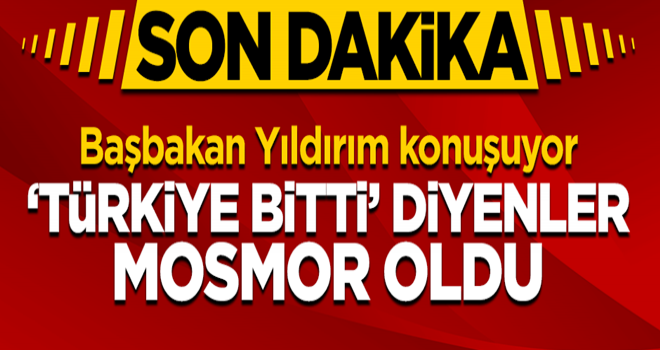 "Türkiye bitti diyenler mosmor oldu"