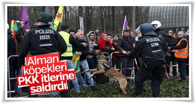 Almanya'da PKK İTlerine köpekli müdahale