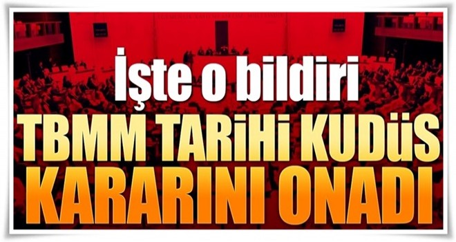 TBMM tarihi kararı onadı