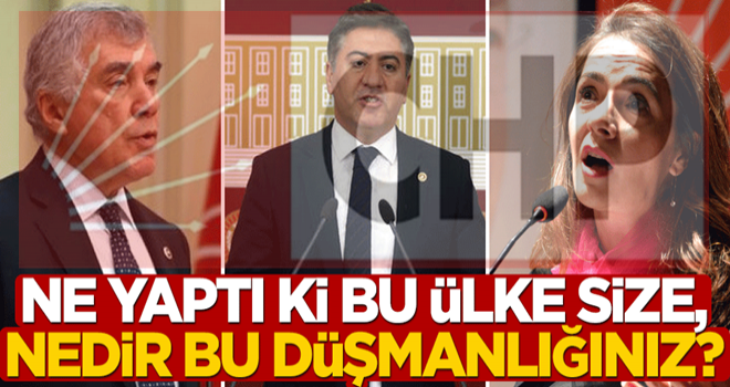 Ne yaptı ki bu ülke size, nedir bu düşmanlığınız?