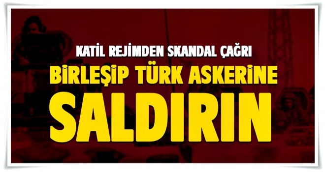 'Birleşip, Türk askerlerine direnin' çağrısı!