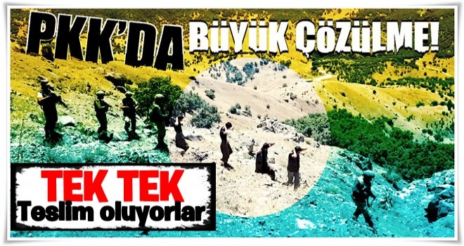 PKK'da büyük çözülme! Tek tek teslim oluyorlar