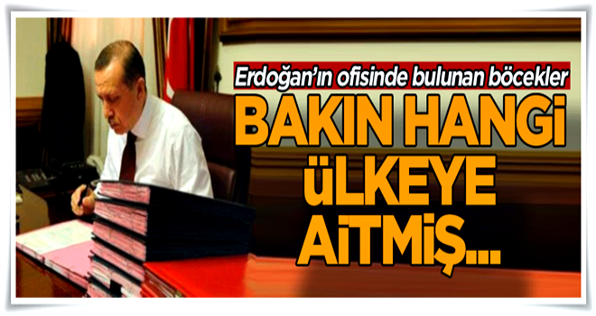 Erdoğan’ın ofisinde bulunan böcekler bakın hangi ülkeye aitmiş...