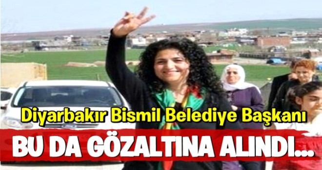 Diyarbakır Bismil Belediye Başkanı HDP'li Cemile Eminoğlu gözaltına alındı.