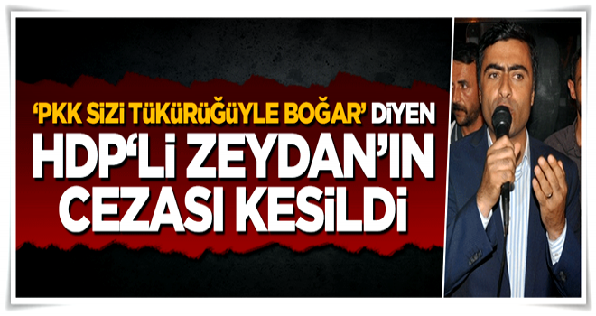 'PKK sizi tükürüğüyle boğar' diyen HDP'li Abdullah Zeydan'a hapis cezası