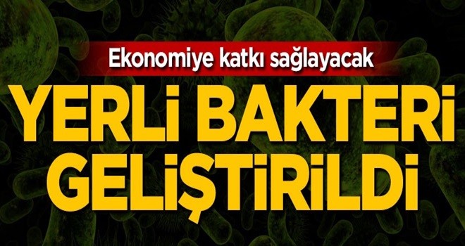 Yerli bakteri geliştirildi