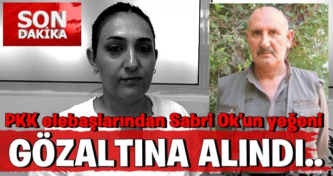 PKK elebaşlarından Sabri Ok'un yeğeni gözaltında