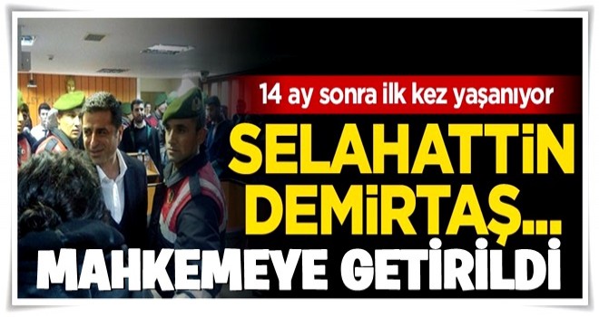 Demirtaş 14 ay sonra ilk kez...