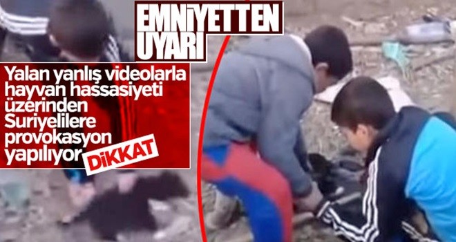 Emniyetten patileri kesilen köpekle provokasyon uyarısı