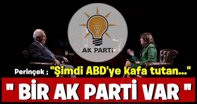 Doğu Perinçek: O gün AK Parti'nin kapatılması gerekirdi ama...