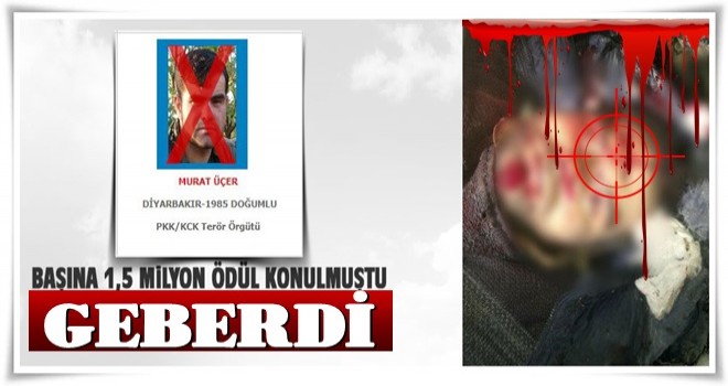 Diyarbakır’ın sözde Amed sorumlusu öldürüldü!.