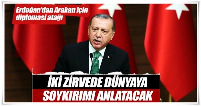 Erdoğan’dan Arakan için diplomasi atağı