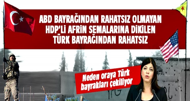 HDP'li Beştaş'ın Türk bayrağı rahatsızlığı