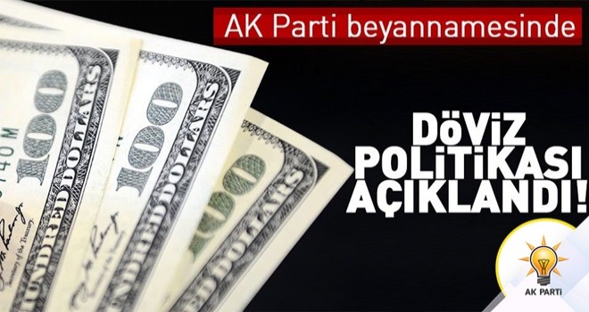 AK Parti beyannamesinde döviz politikası açıklandı .