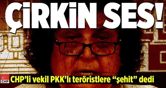 CHP'li vekilden PKK'lı teröristler için skandal sözler .