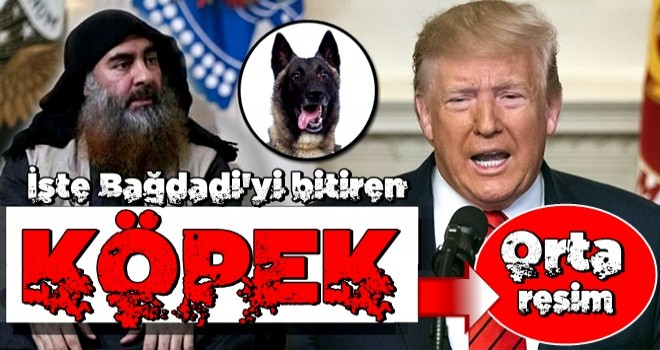 Trump Twitter'dan paylaştı: İşte Bağdadi'yi bitiren köpek!