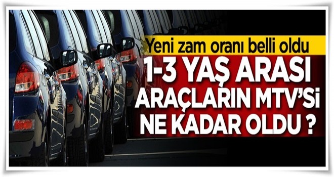 1-3 yaş arası araçların MTV'si ne kadar oldu ?