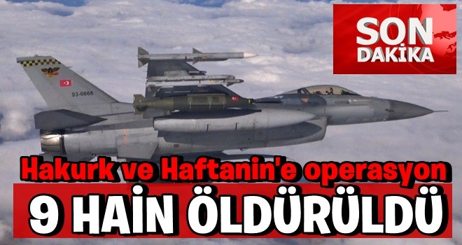 Hakurk ve Haftanin'e operasyon! 9 hain etkisiz