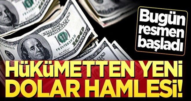 Bakanlıktan yeni dolar hamlesi! Resmi Gazete'de yayımlandı