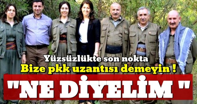 HDP'de yüzsüzlükte son nokta: Bize PKK'lı demeyin!