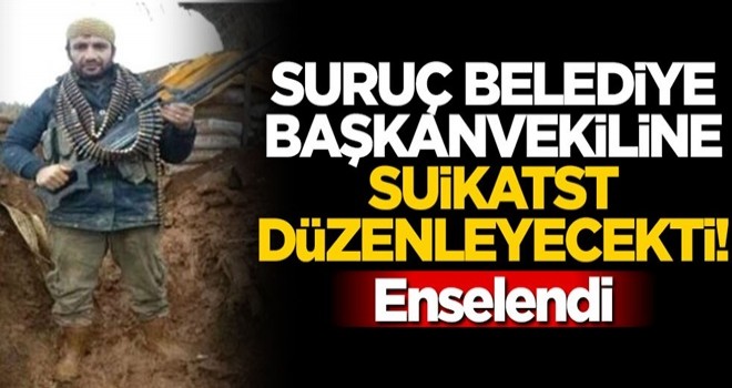 Suruç Belediye Başkan vekiline suikast hazırlığındaki terörist yakalandı