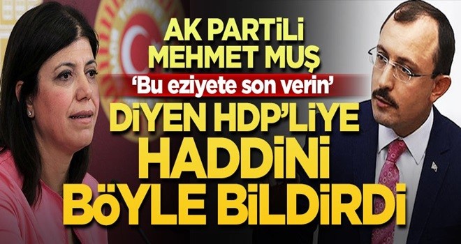 AK Partili vekil HDP'lilere haddini bildirdi!