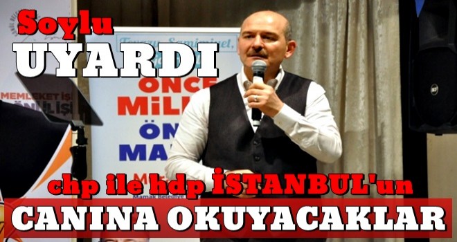 Soylu'dan İstanbul seçmenine HDP uyarısı