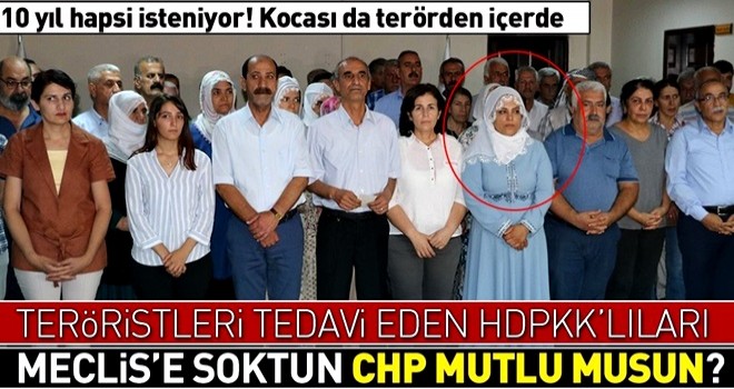 HDP'li Remziye Tosun’un teröristleri tedaviden 10 yıl hapsi isteniyor