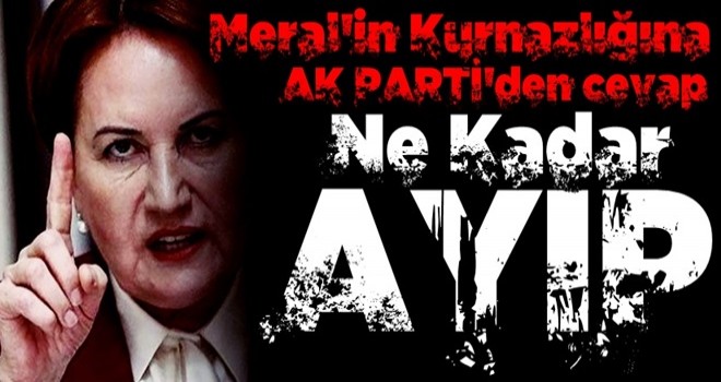 AK Parti'den Meral Akşener'e Ayasofya tepkisi: Ne kadar ayıp...