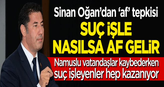 Sinan Oğan'dan 'af' tepkisi: Suç işle, nasılsa af gelir!