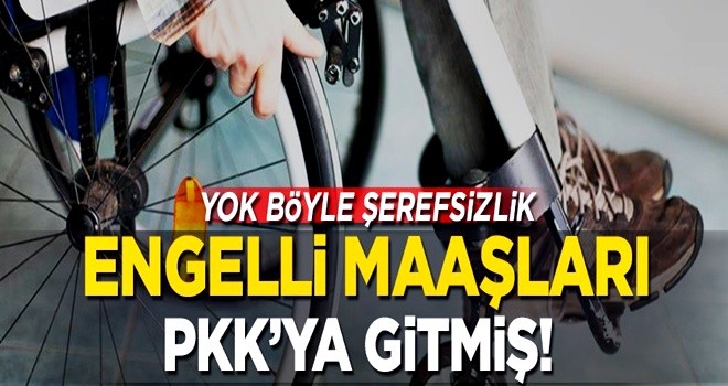 Yok böyle şerefsizlik! Engelli maaşları PKK'ya gitmiş