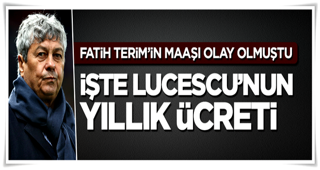 A Milli Takım'ın yeni hocası Lucescu'nun maaşı belli oldu