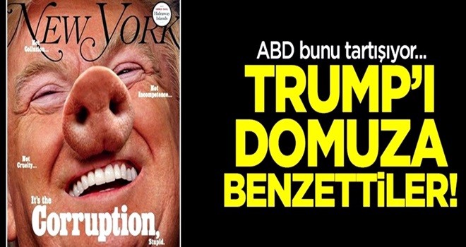 Amerikan basını'nda Trump domuza benzetildi!