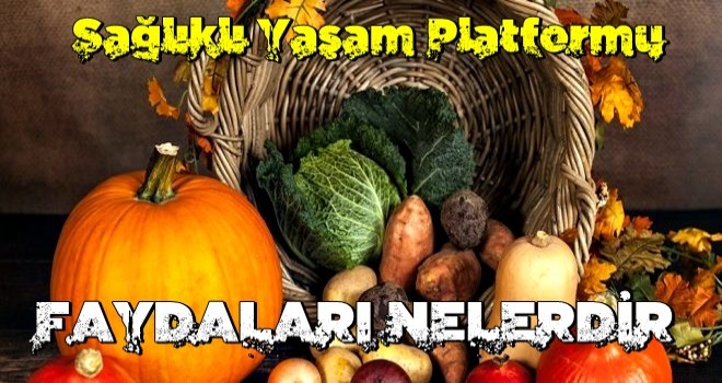 Sağlıklı Yaşam Platformu