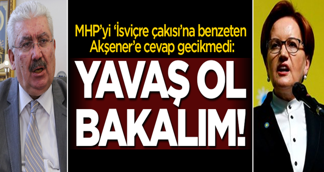 Meral Akşener'e cevap gecikmedi: Yavaş ol bakalım!