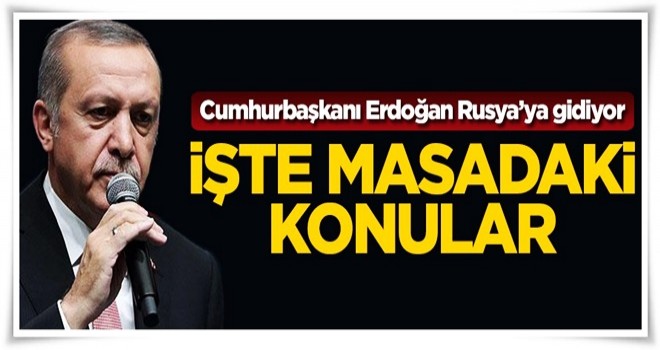 Erdoğan Rusya'ya gidiyor! İşte masadaki konular