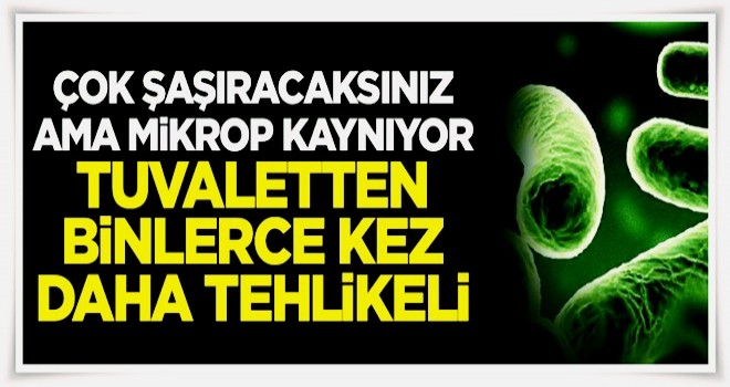 Mikrop kaynıyor! Tuvaletlerden daha tehlikeli