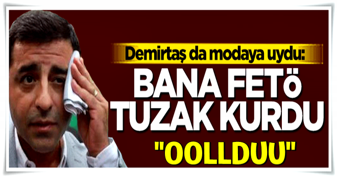 Demirtaş: Bana FETÖ tuzak kurdu