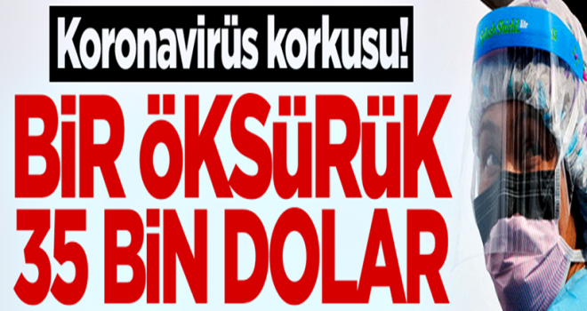 Koronavirüs korkusu! Bir öksürük 35 bin dolara mal oldu