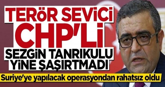 Barış Pınarı Harekatı terör sevici CHP'li Sezgin Tanrıkulu'nu rahatsız etti