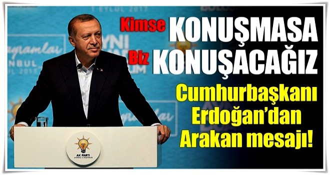 Cumhurbaşkanı Erdoğan: Arakan'ı kimse konuşmasa da biz konuşacağız