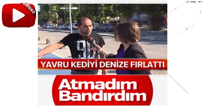 Yavru kediyi denize fırlatırken gazetecilere yakalandı