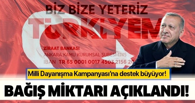 Milli Dayanışma Kampanyası’na destek büyüyor! Son rakam açıklandı