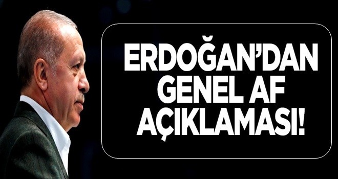 Erdoğan'dan genel af açıklaması!