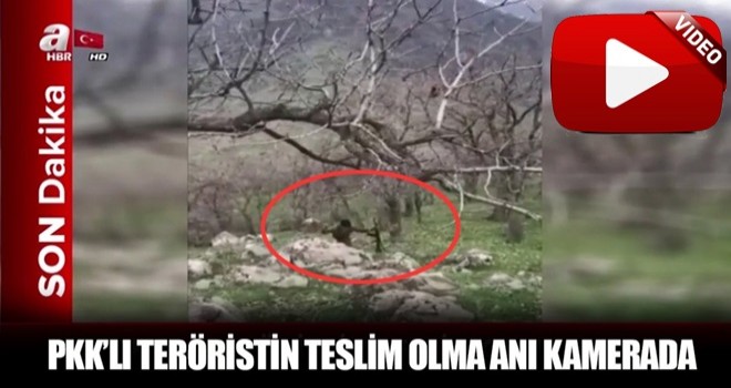 PKK'lı teröristin teslim olma anı kamerada!