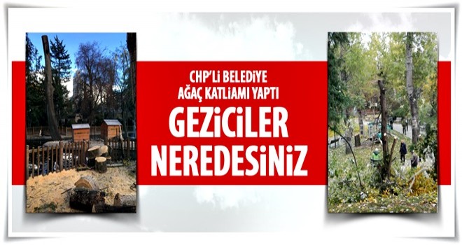 CHP'li Çankaya Belediyesi'nin ağaç katliamı